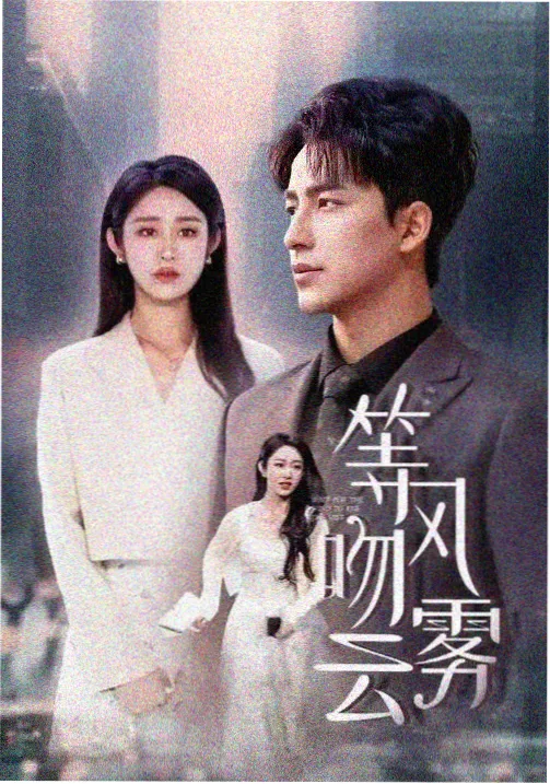 长街拾光剧集封面